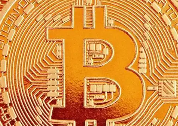 备案查询操作界面示例